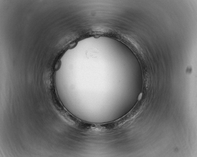 X0000099520455200805291215