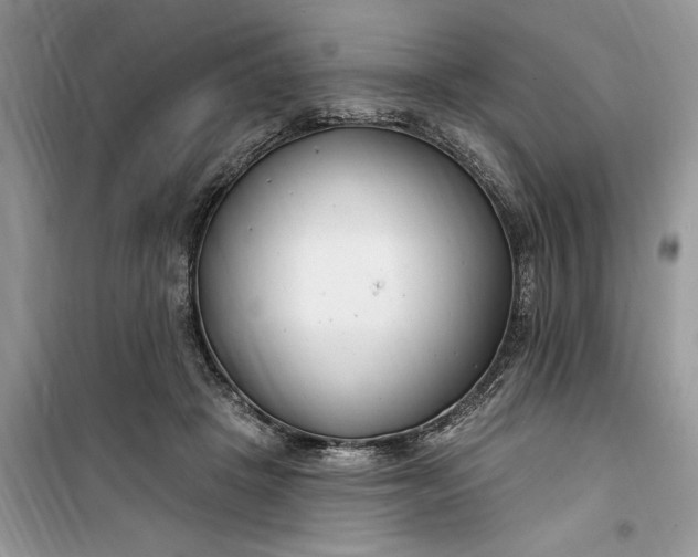 X0000099520457200805291215