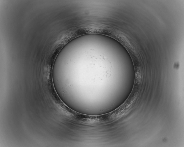 X0000099520458200805291215