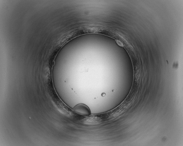 X0000099520459200805291215