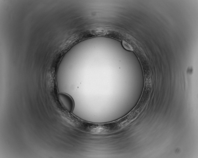 X0000099520460200805291215