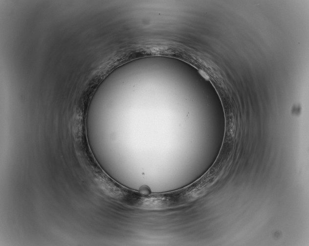 X0000099520461200805291215