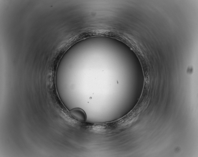 X0000099520462200805291215