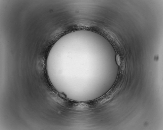 X0000099520463200805291215