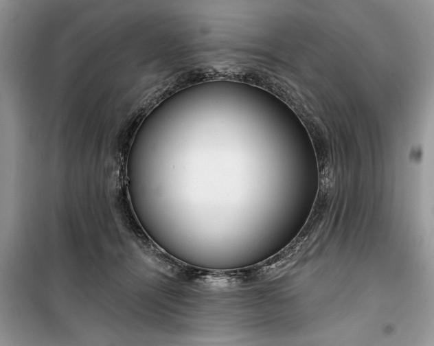 X0000099520464200805291215