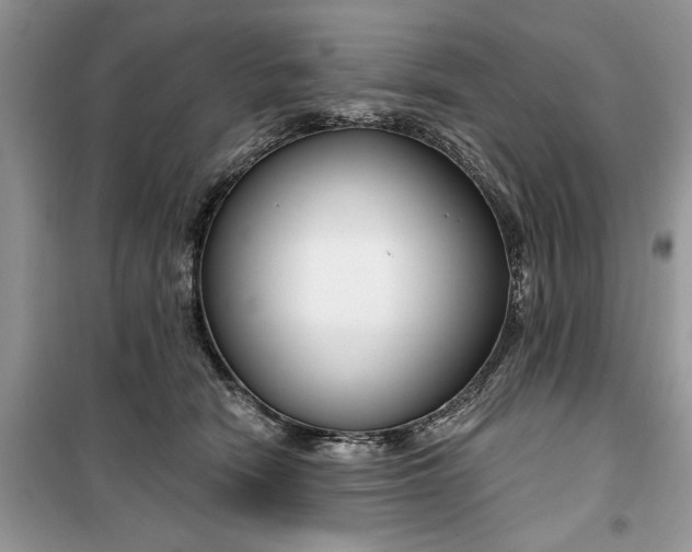 X0000099520466200805291215