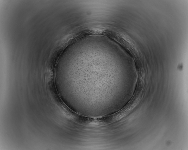 X0000099520467200805291215