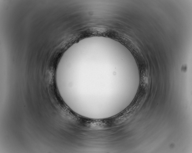 X0000099520468200805291215