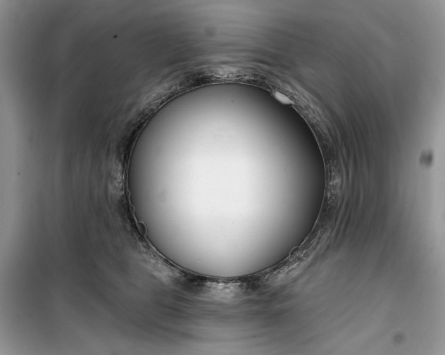 X0000099520469200805291215