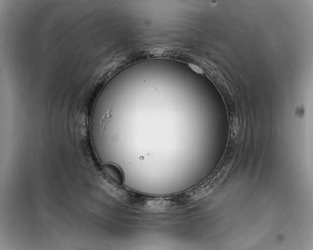 X0000099520470200805291215