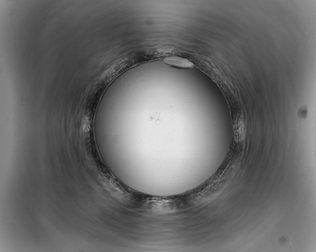 X0000099520472200805291215