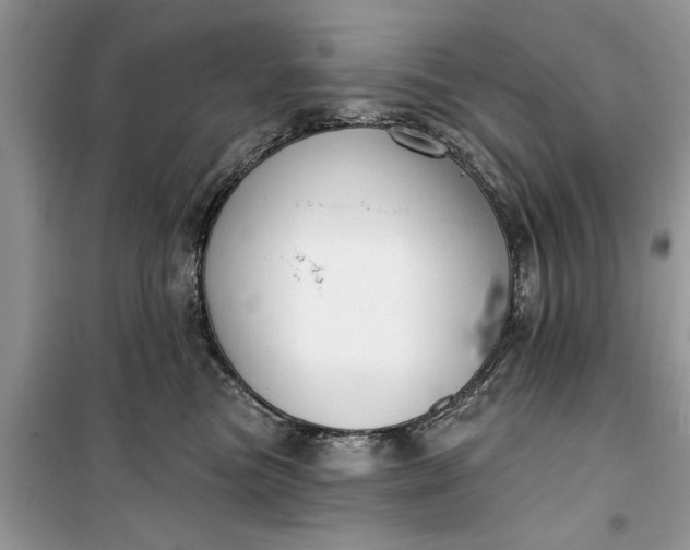 X0000099520473200805291215