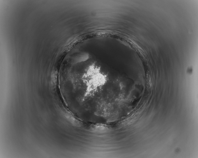 X0000099520475200805291215