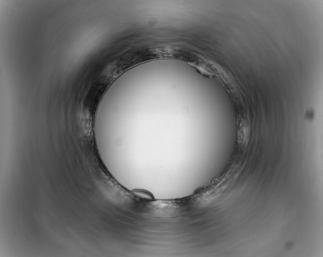 X0000099520477200805291215