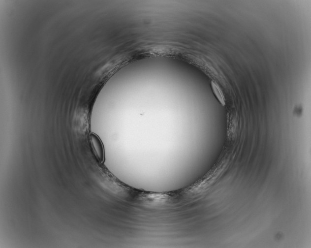 X0000099520478200805291215