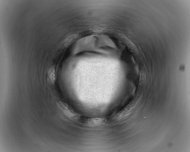 X0000099520479200805291215