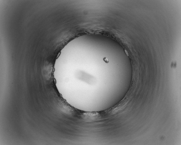 X0000099520480200805291215