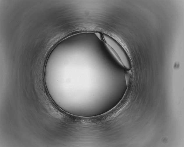 X0000099520481200805291214