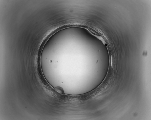 X0000099520483200805291214