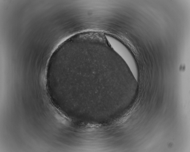 X0000099520484200805291214