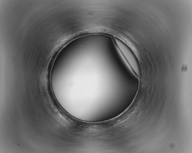 X0000099520485200805291214