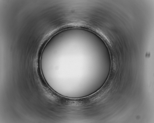 X0000099520486200805291214