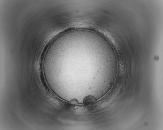 X0000099520487200805291214