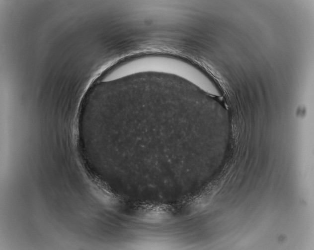 X0000099520488200805291214