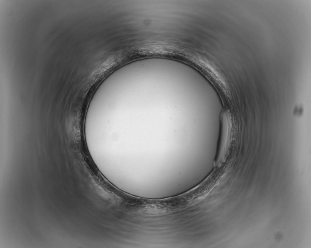 X0000099520489200805291214