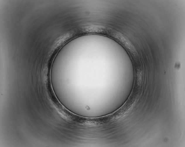 X0000099520490200805291214