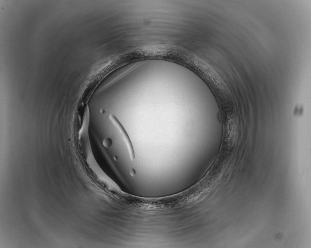 X0000099520494200805291214