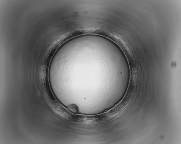 X0000099520495200805291214