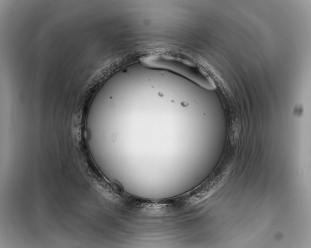 X0000099520497200805291214