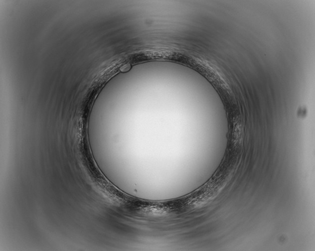 X0000099520498200805291214