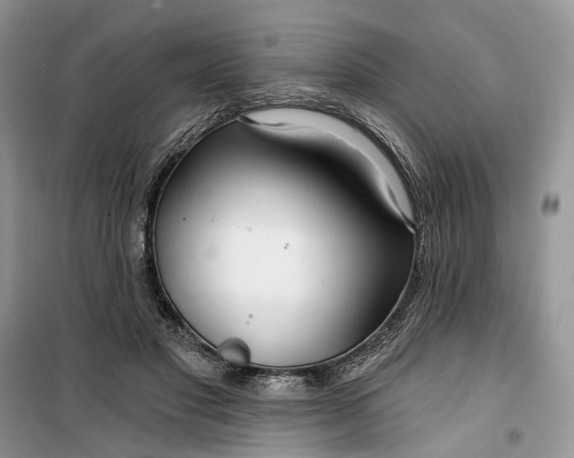 X0000099520501200805291214