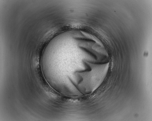 X0000099520502200805291214