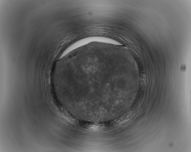 X0000099520504200805291214