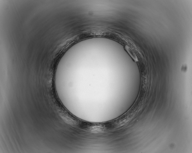 X0000099520505200805291214