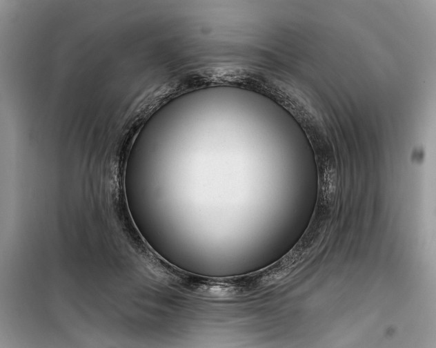 X0000099520506200805291214