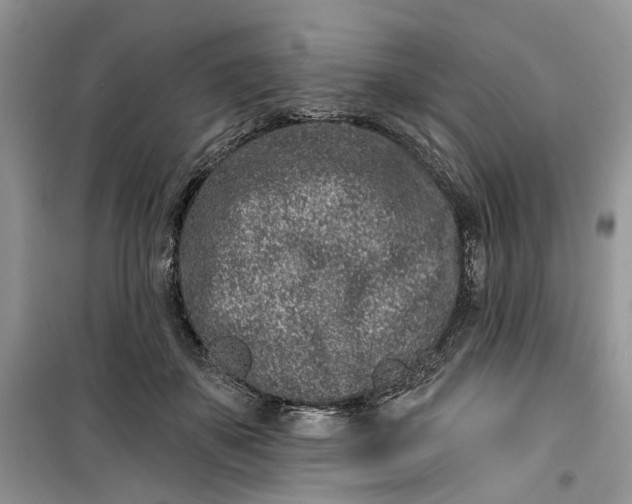 X0000099520507200805291214