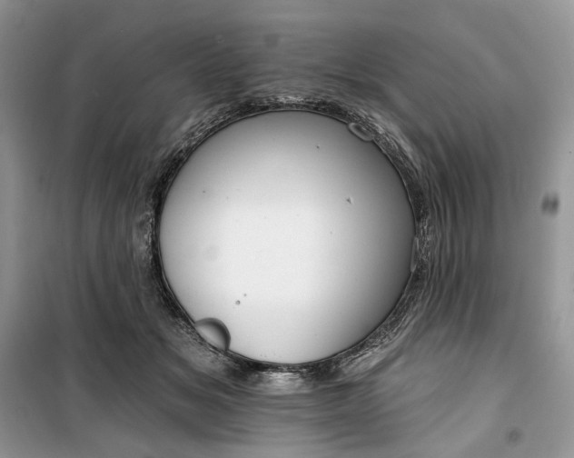 X0000099520509200805291214