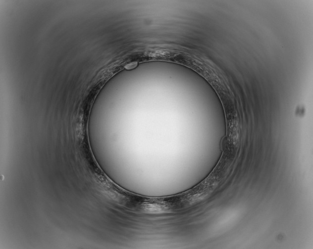 X0000099520510200805291214