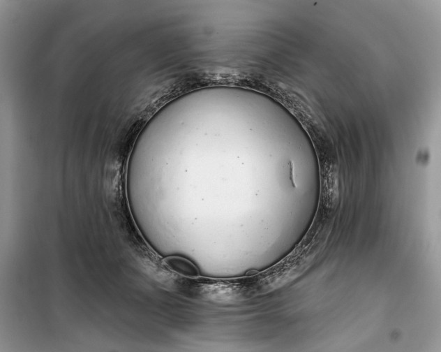 X0000099520511200805291214