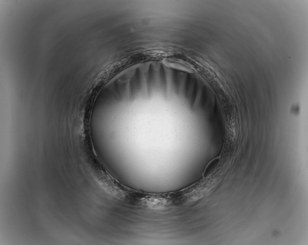 X0000099520512200805291214