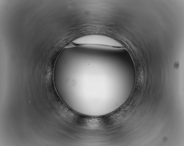 X0000099520513200805291214