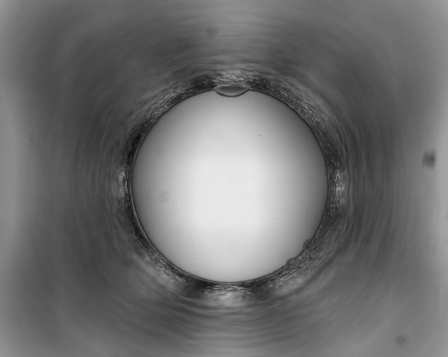 X0000099520514200805291214