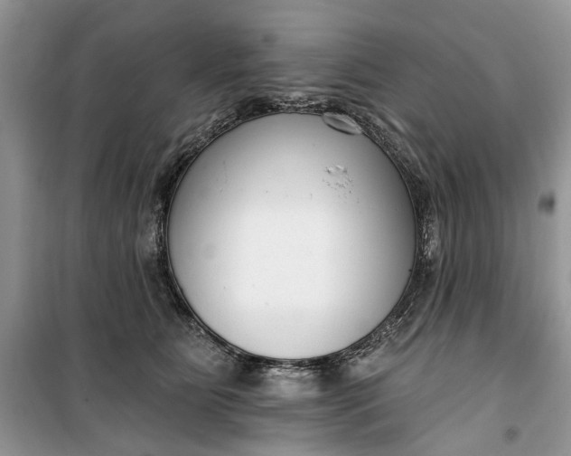 X0000099520515200805291214