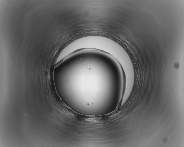 X0000099520516200805291214