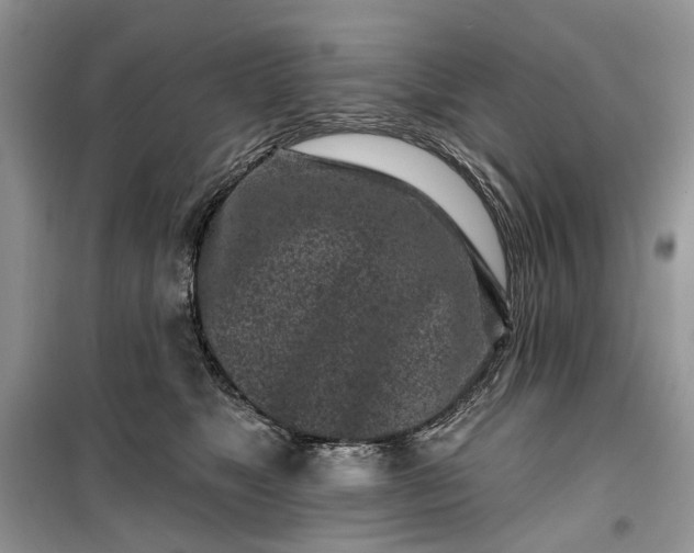 X0000099520517200805291214