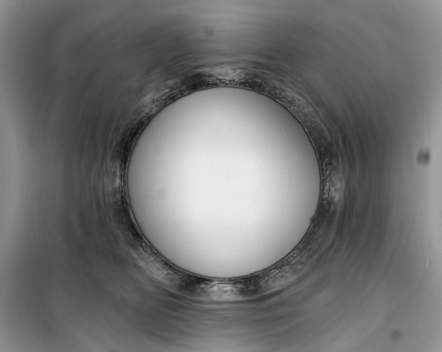 X0000099520518200805291214